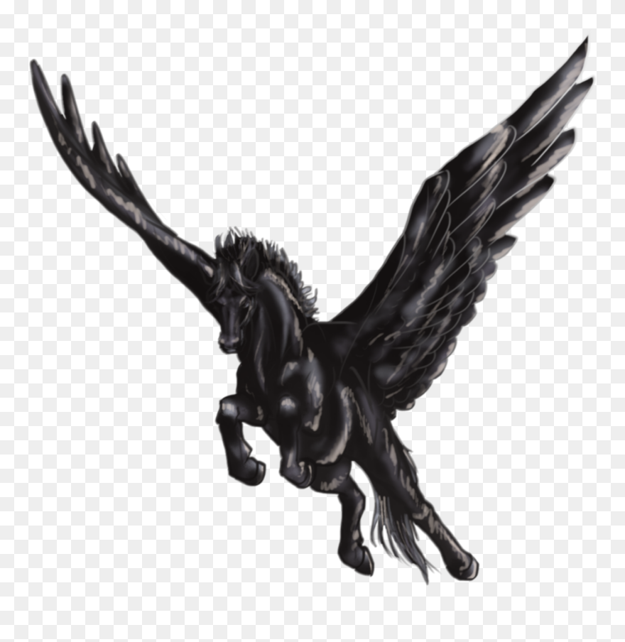 black and gold pegasus