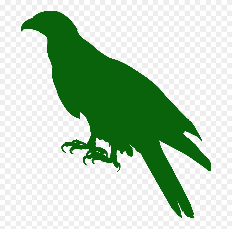 Silueta Gavilán Clipart