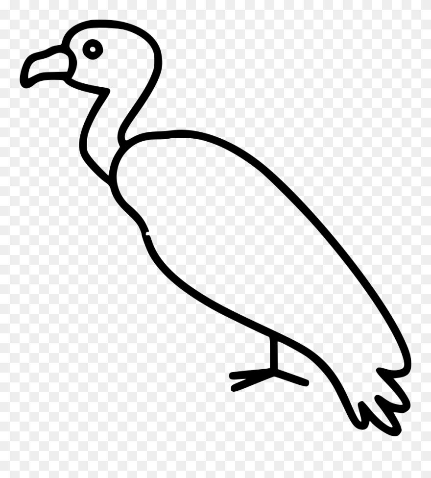 Vulture - Seabird Clipart