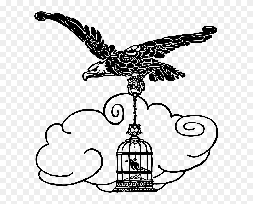 Animals, Cartoon, Eagle, Birds, Bird, Flying, Animal - Nightingale And Eagle Clipart