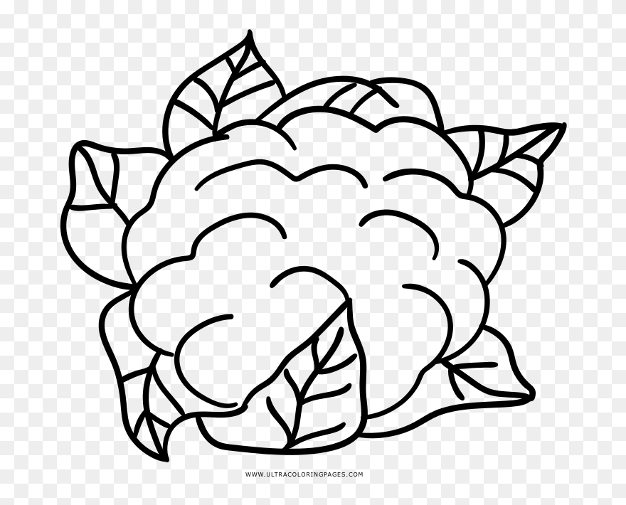 Cauliflower Clipart Colouring Page - Cauliflower Coloring Page - Png Download
