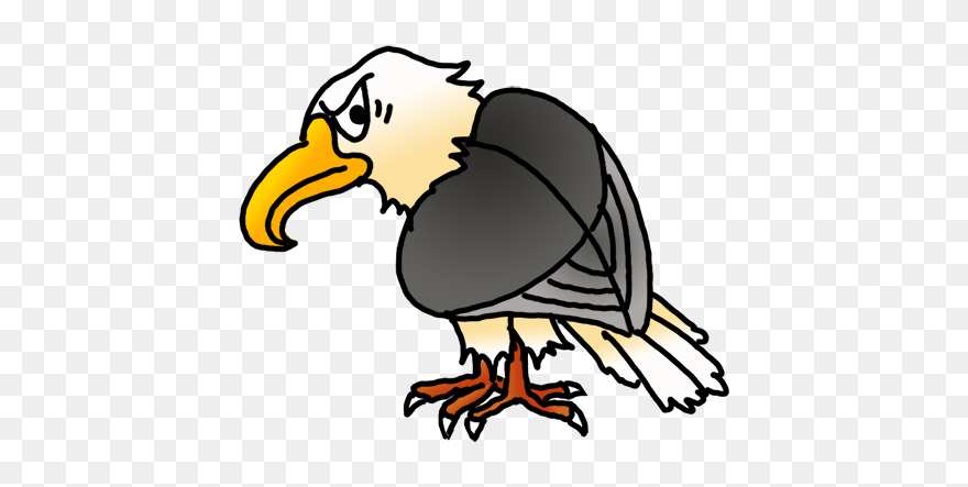 Bird Of Prey Drawing Easy Cartoon Clipart