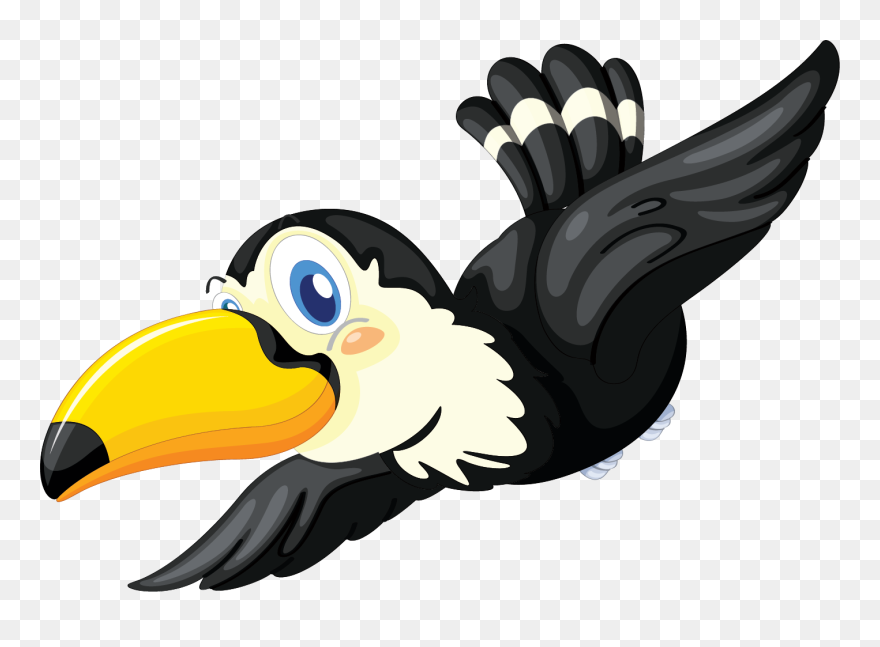 Cartoon Toucan Transparent Background Clipart