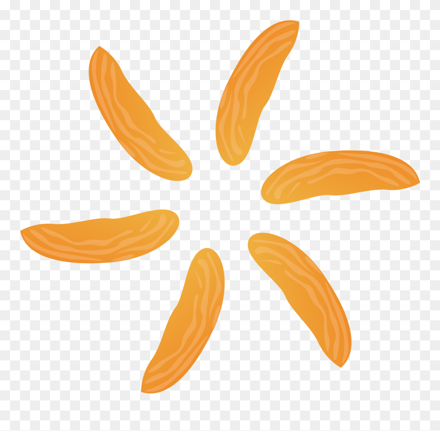 Illustration Clipart