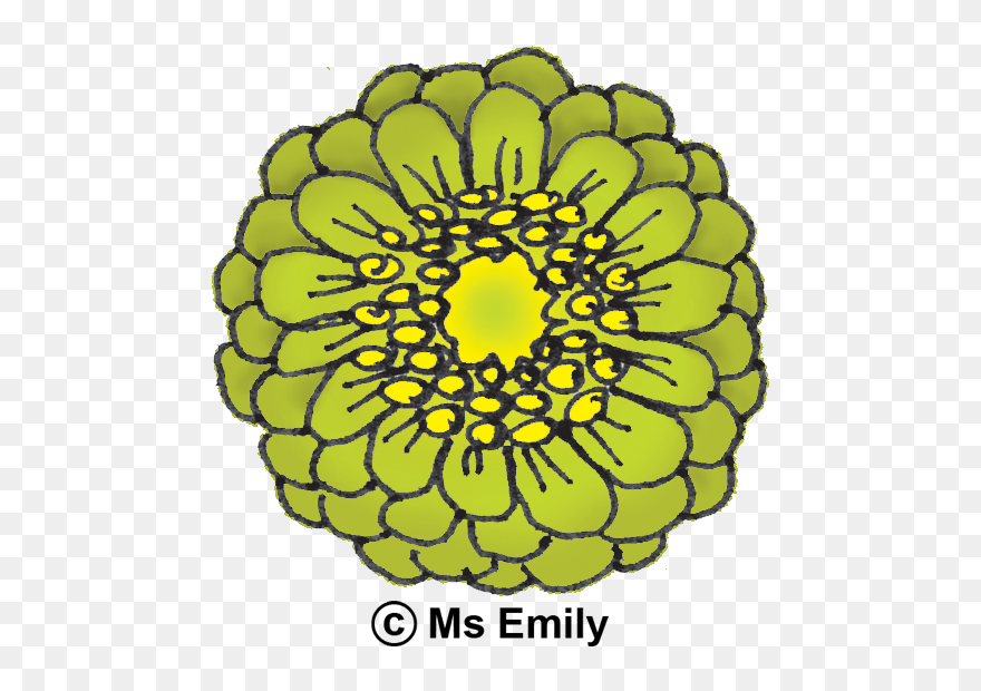 Clip Art - Png Download