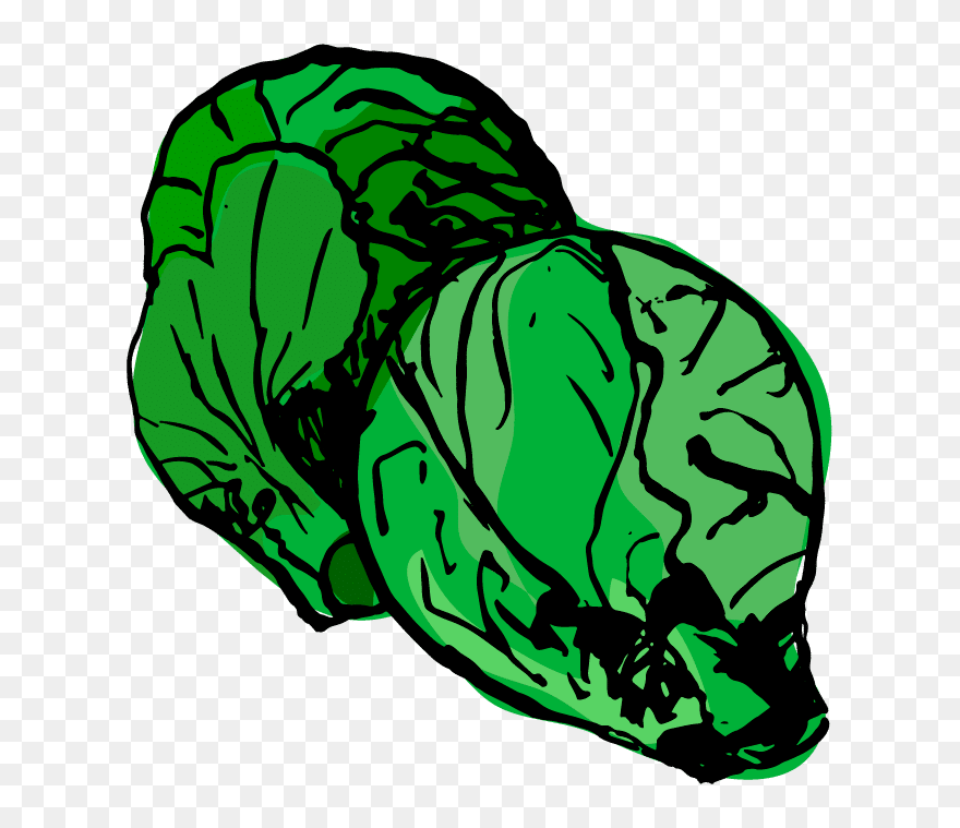 Transparent Sprout Clipart - Clip Art - Png Download