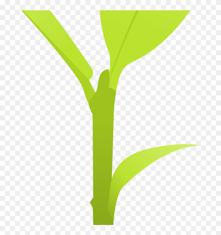 Transparent Sprout Clipart - Small Plant Transparent Background - Png Download