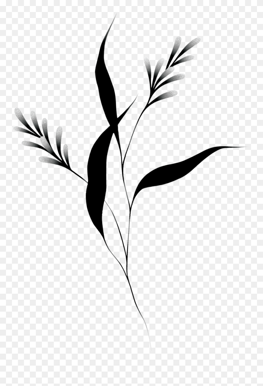 Twig Clipart
