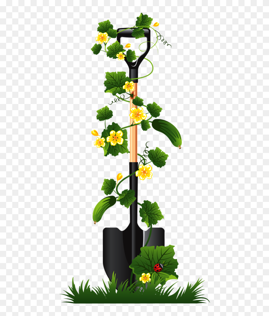 Transparent Sprout Clipart - Sunflower Garden Clip Art Free - Png Download