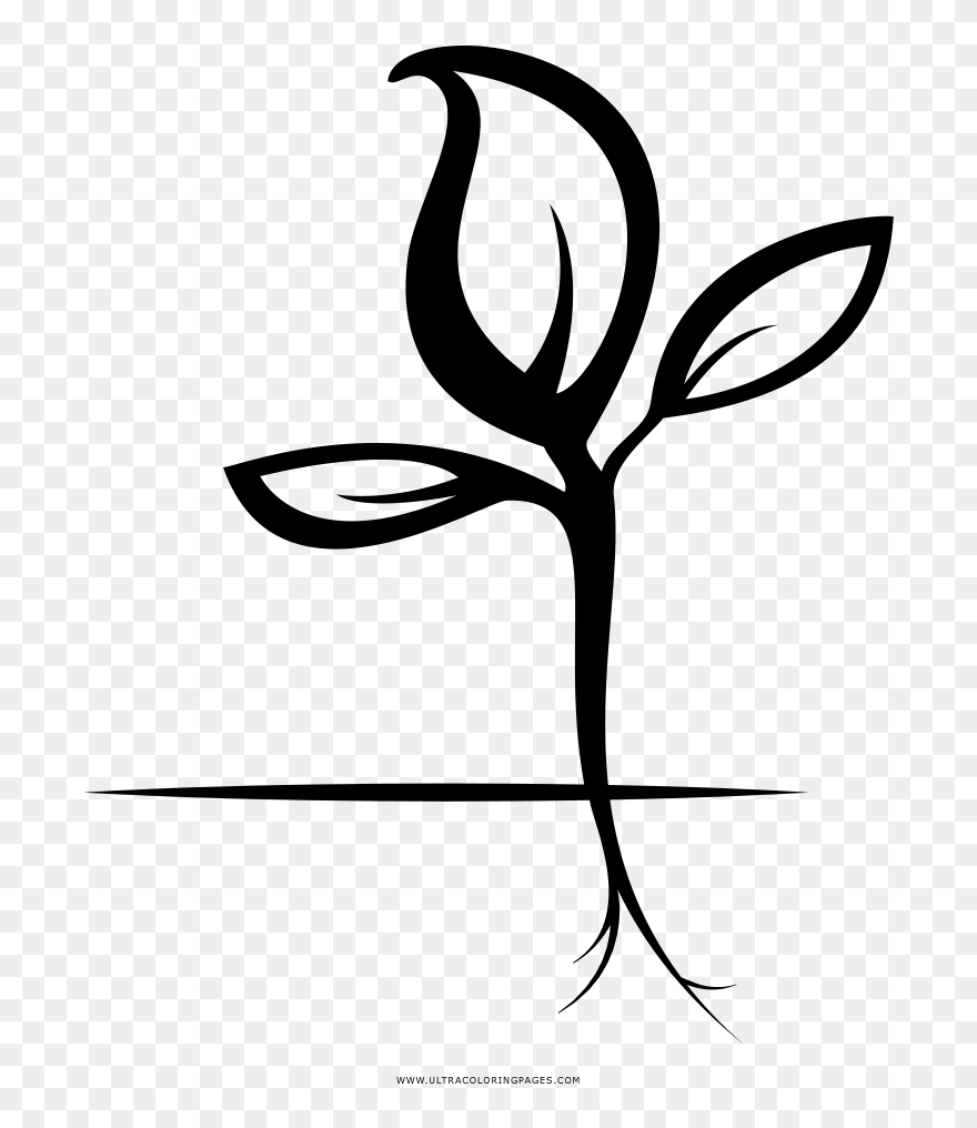 Sprout Coloring Page Clipart