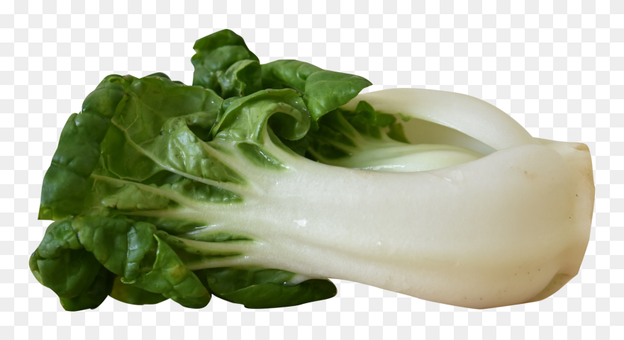 Bok Choy Png Hd Png Icons - Bok Choy Transparent Background Clipart