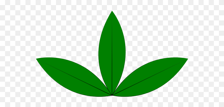 A Green Sprout - 3 Leaves Clip Art - Png Download