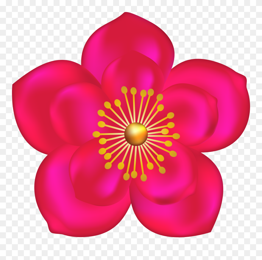 Fuchsia Flower Transparent Image Clipart