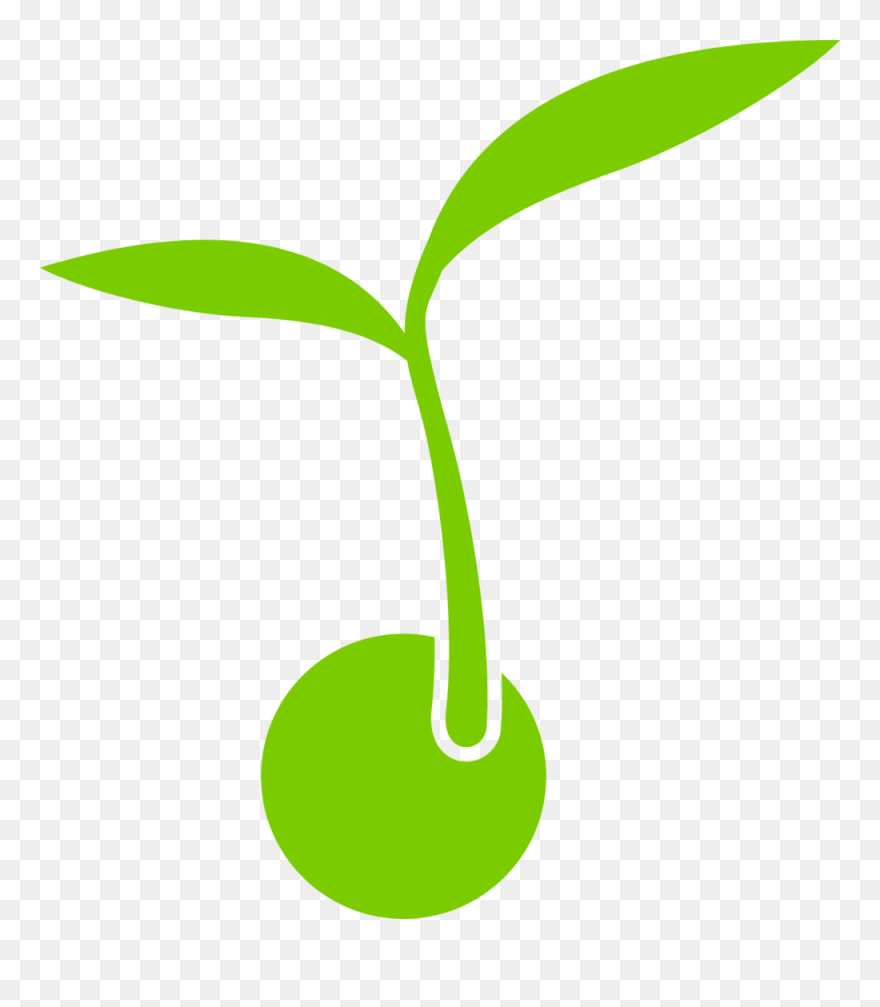 Sprout Clip Art - Png Download