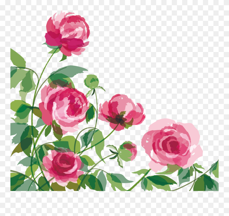 Collection Of Free Peony Vector Cartoon Download On - Cartoon Peony Clipart