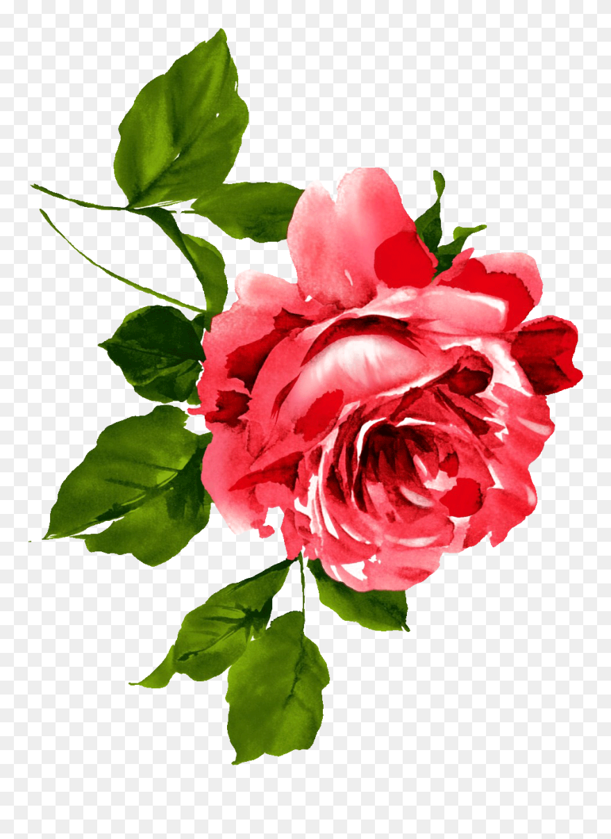 Transparent Watercolor Rose Clipart - Red Rose Watercolor Clipart - Png Download