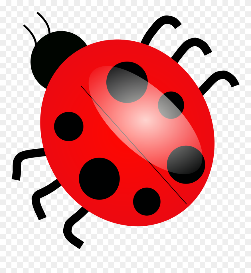 Cartoon Picture Of Ladybird Clipart