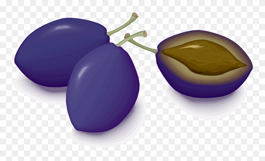 Plum Clipart