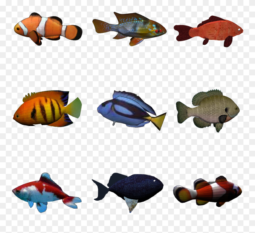 Aquarium 3d C Backlight - Freshwater Fish Clipart