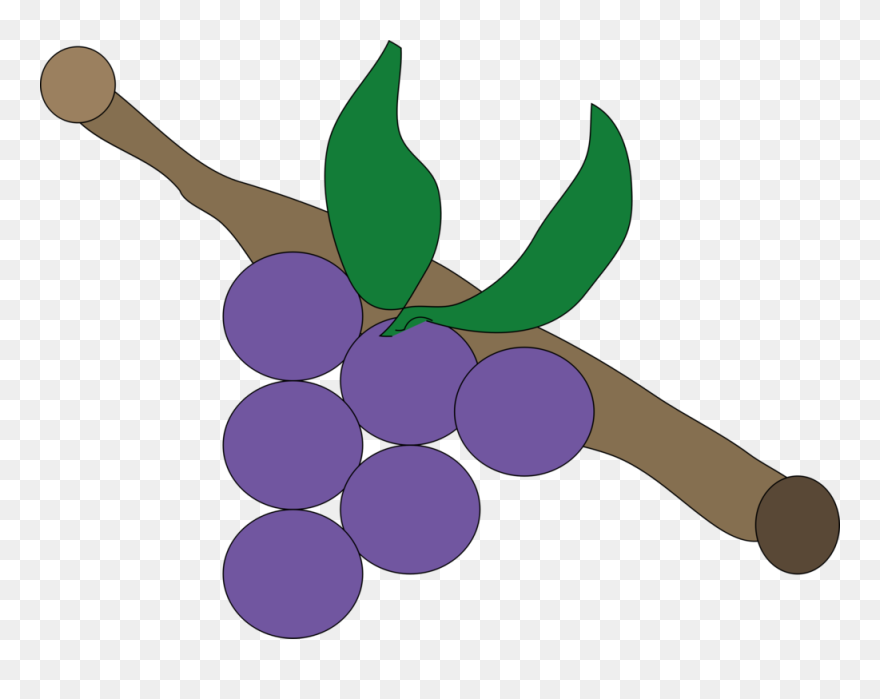 Purple Grapes Vector Drawing - Buah Jeruk Anggur Animasi Clipart
