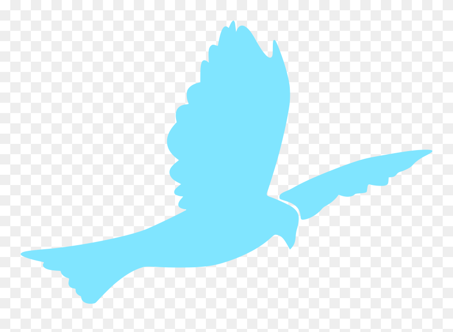 Turtle Dove Clipart Kabutar - Clip Art - Png Download