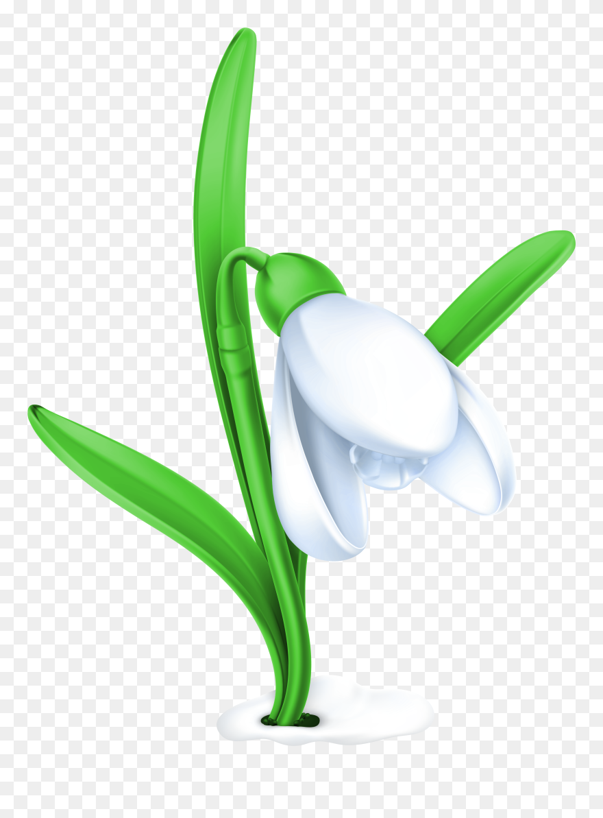 Snowflake Ground Clipart Clip Library Stock Snowdrops - Snowdrop Flower Clipart - Png Download