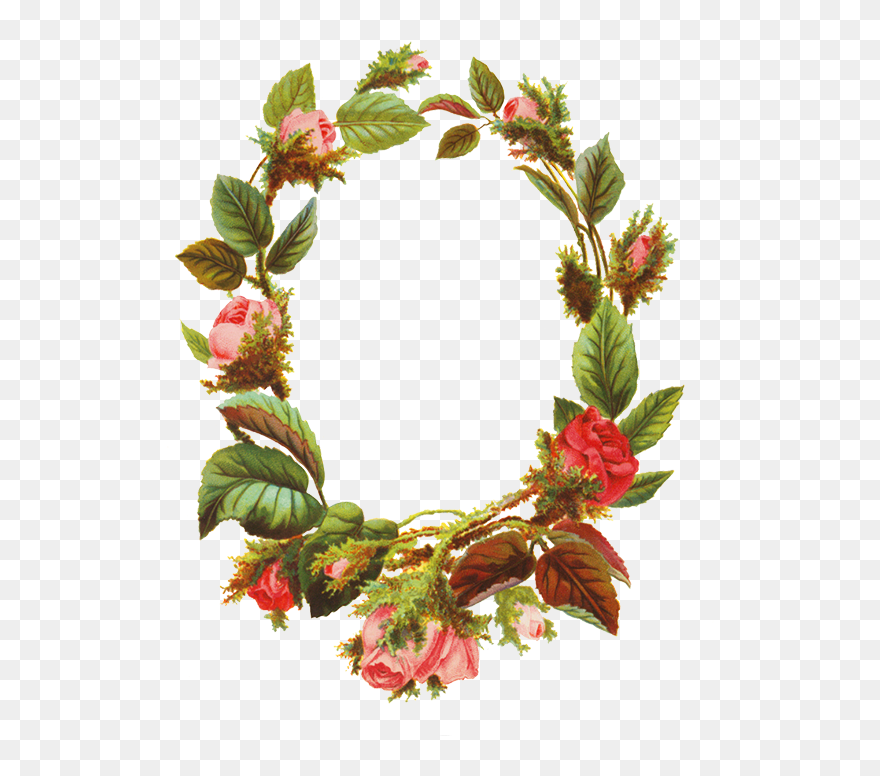 Round Floral Frame Png Images - Picture Frame Clipart