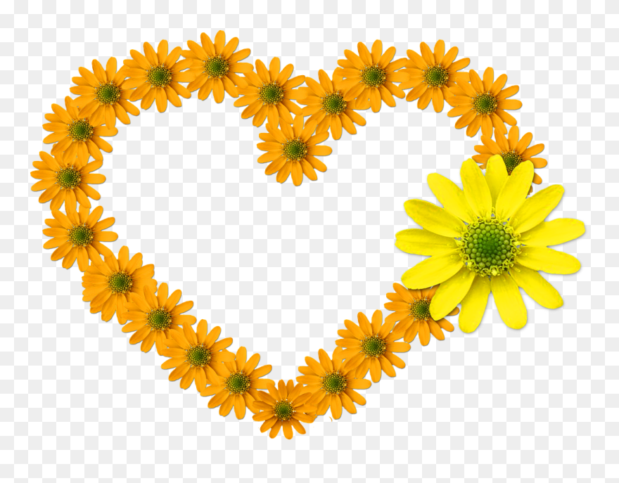 Heart Flower Heart Bloom Feelings Flowers - Good Morning My Love Yellow Clipart
