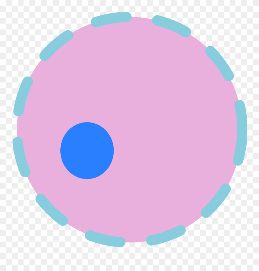 Plant Cell Nucleus Png Clipart