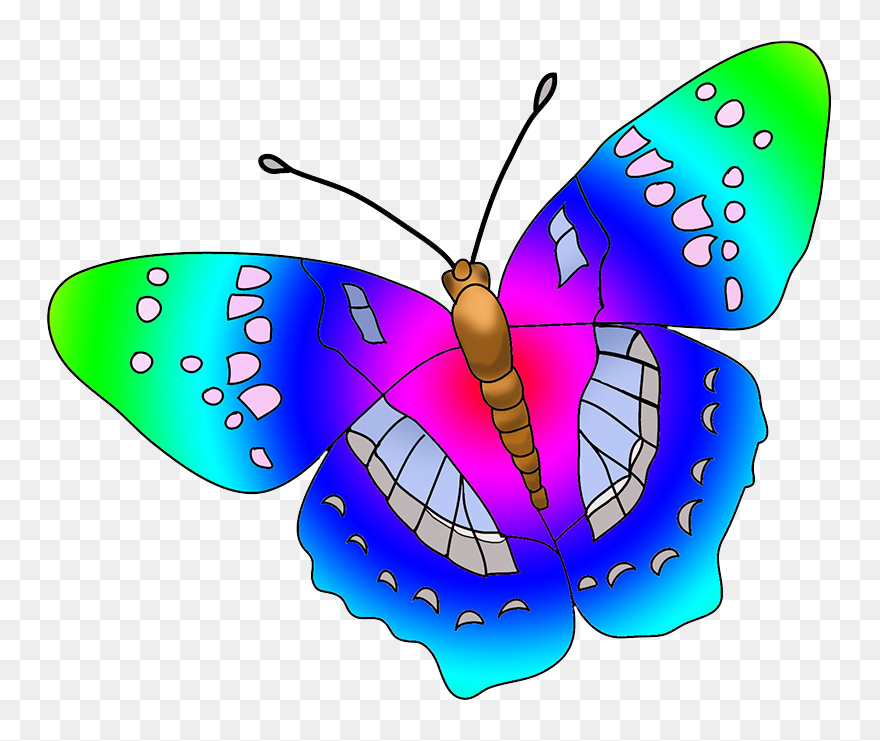 Butterfly Multicolored Clipart - Clipart Pictures Of A Butterfly - Png Download
