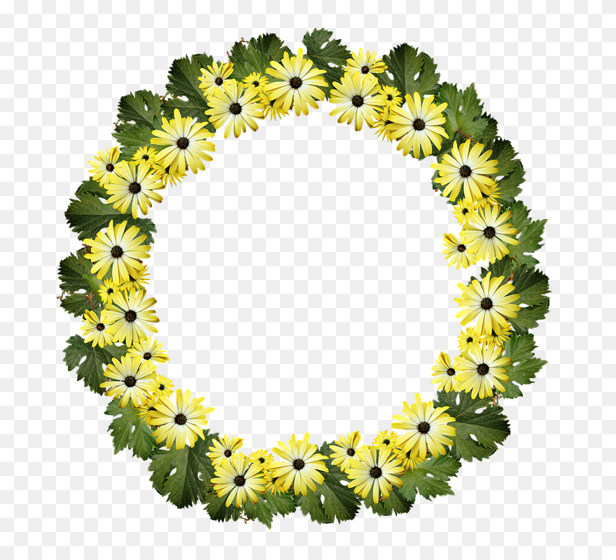 Corona De Margaritas Png Clipart