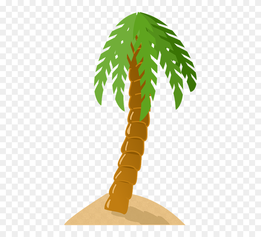 Palm Tree, Exotic, Tropical, Island, Green, Sand, Beach - Palm Tree Clip Art - Png Download
