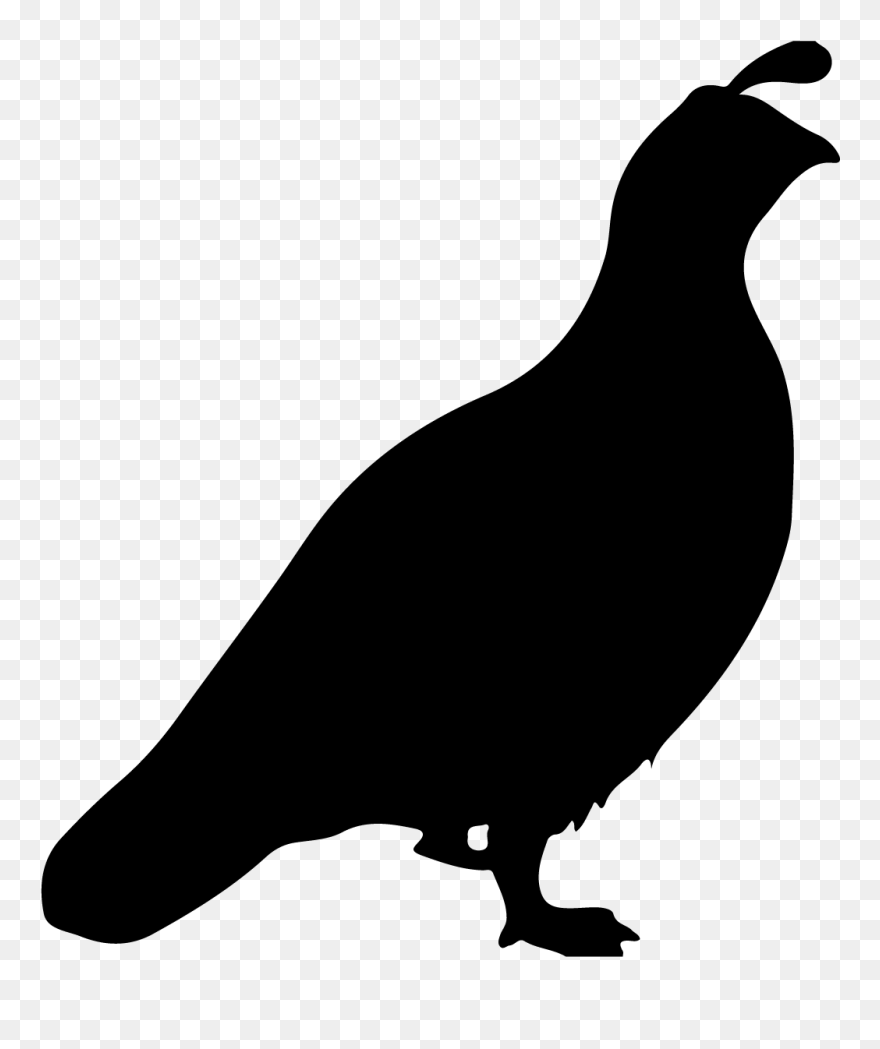 Transparent Flying Quail Clipart - Quail Svg Free - Png Download