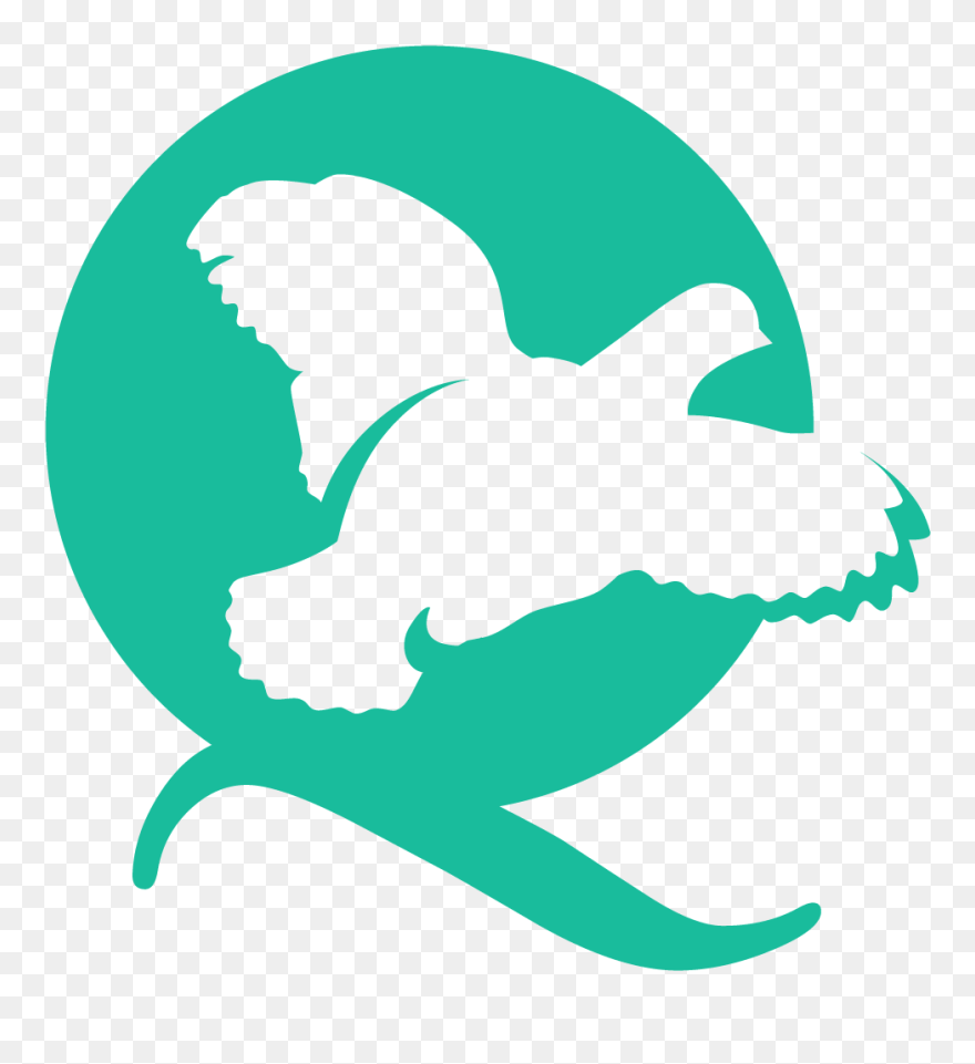 Quail Creek Bank Q Logo - Quail Creek Bank Logo Clipart