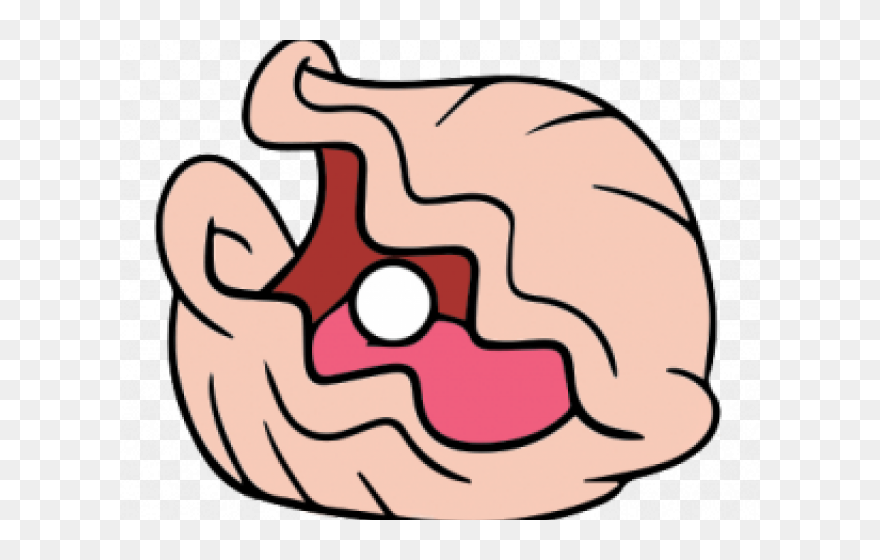 Clam Clipart - Png Download