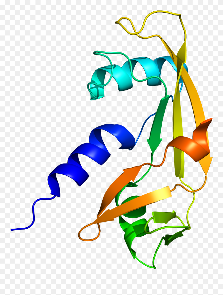 Study Gives Clues To Causes Of Motor Neurone Disease - Clip Art - Png Download