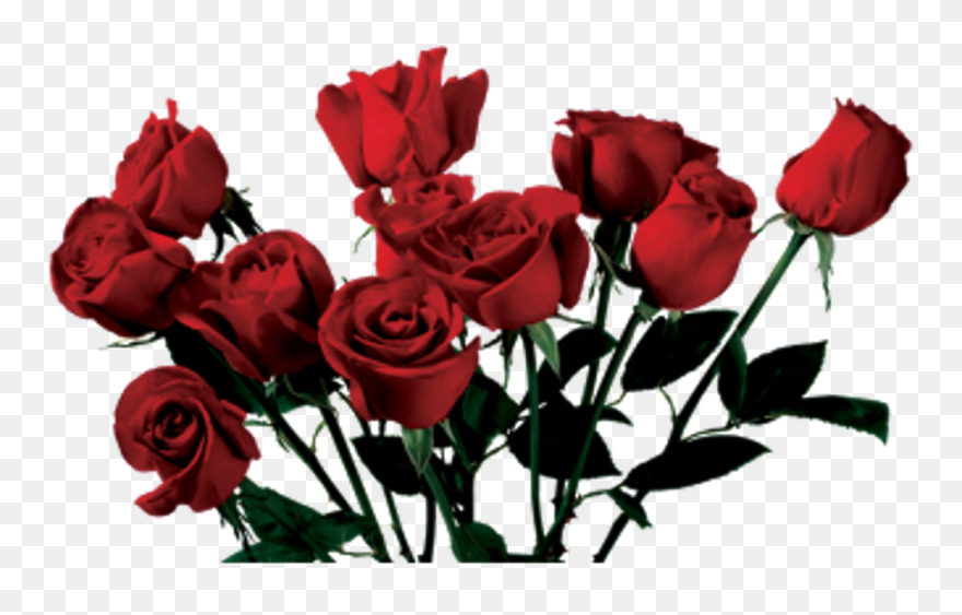 Tumblr Clipart Rose - Aesthetic Png Transparent