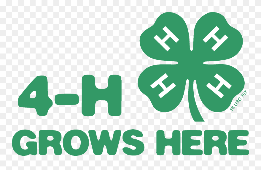 Sewing Clipart Project 4h, Sewing Project 4h Transparent - 4 H Logo Kansas - Png Download