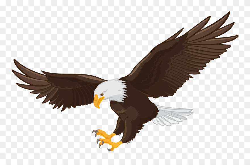 White - Eagle Clipart Png Transparent Png