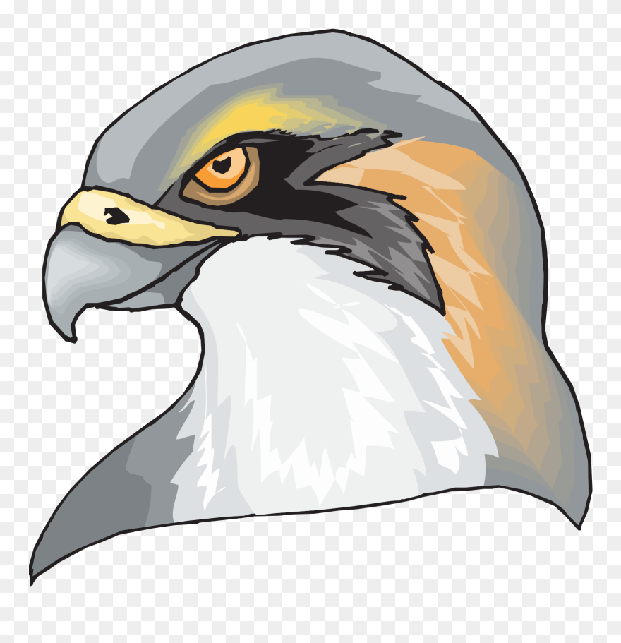 Animated Borders Of Birds Clipart