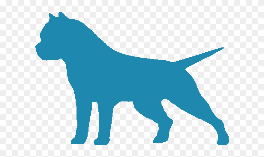 American Bully Clipart Vaccine Svg Black And White - American Bully Vinyl - Png Download