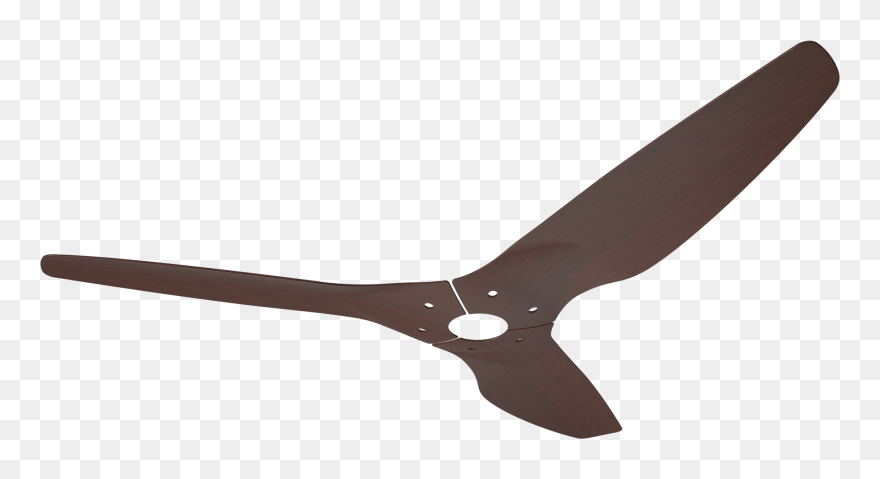 Animal Eagle Wing Imitation Fan Blade Clipart