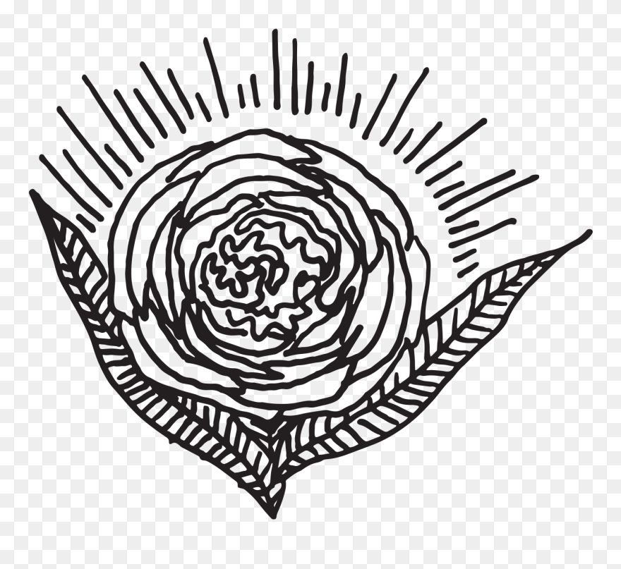 Donna And Marcos - Garden Roses Clipart