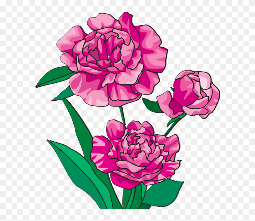 Peony Clipart Boho - Peony Clipart - Png Download