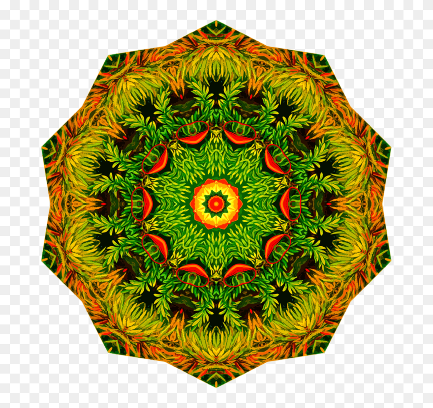 Plant,leaf,symmetry - Football Cookie Cake Ideas Clipart