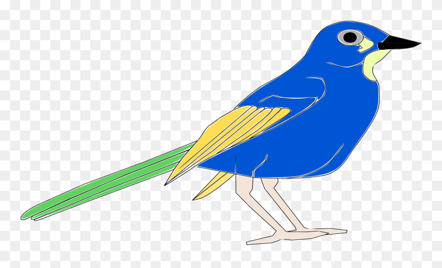 Bird Blue Jay Download - Pajaro Clipart - Png Download