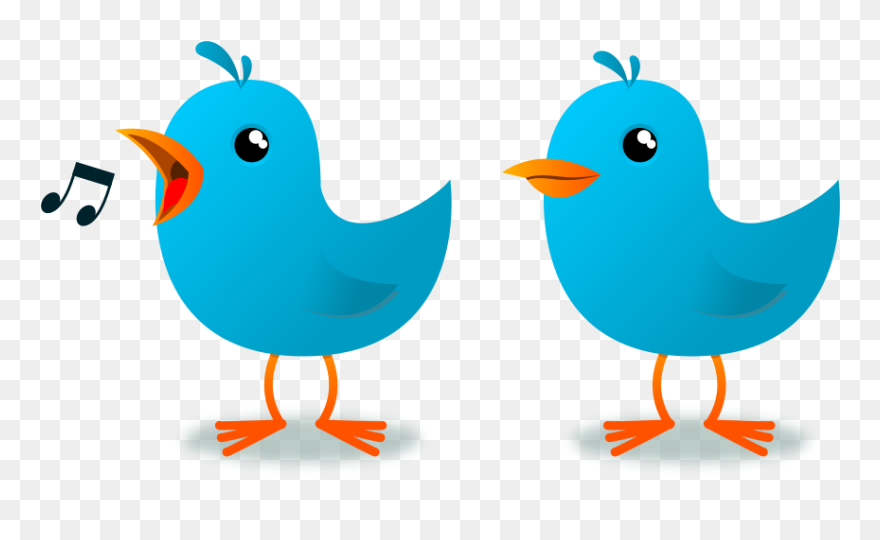 Baby Bird Clipart Many Interesting Cliparts - Bird Cartoon Gif Png Transparent Png