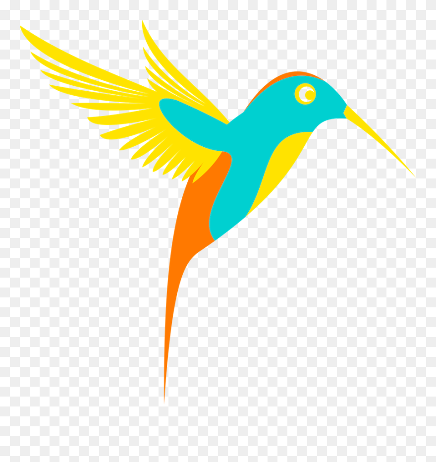 Colorful Birds Clipart Hd - Png Download