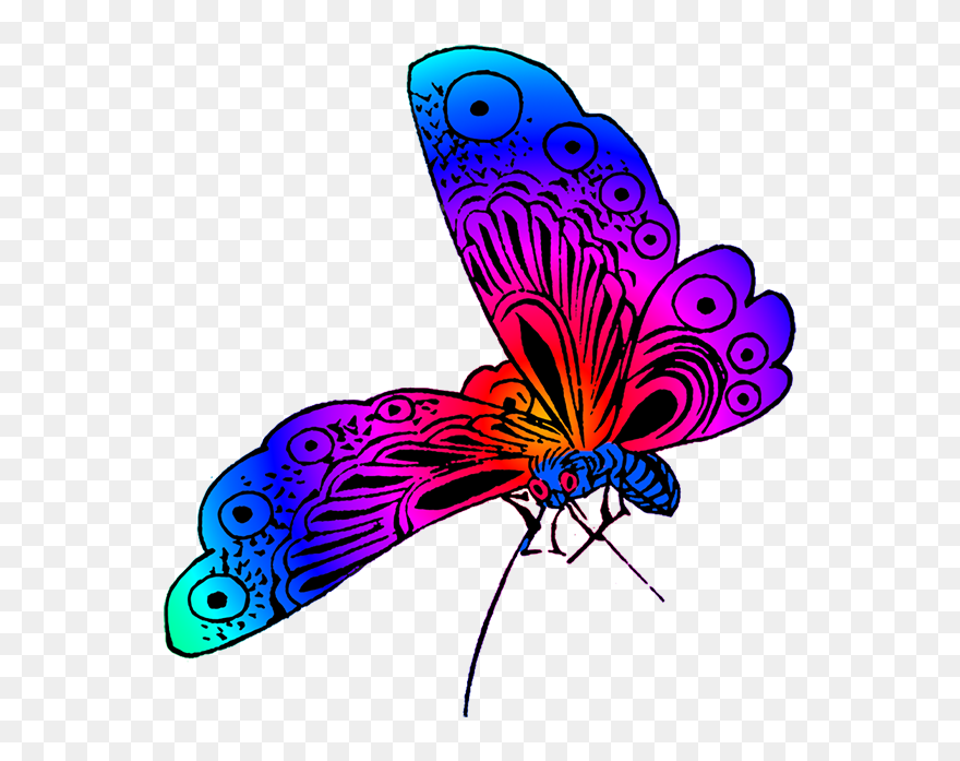 Colorful Beautiful Butterfly Images, Purple Butterfly - Butterfly Line Color Png Clipart