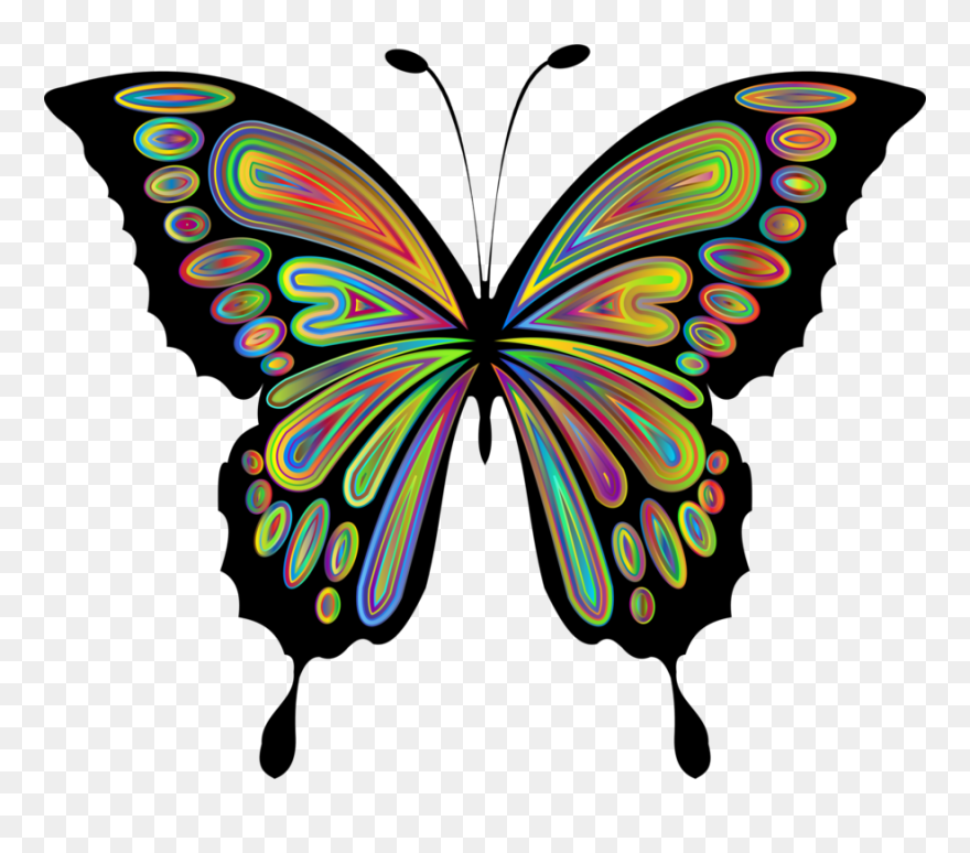 Butterfly Clipart - Png Download